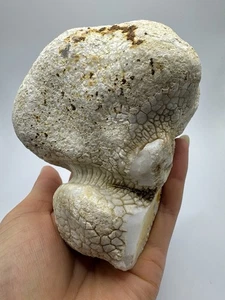 KASCHOLONG Rohstein (853gr) White Agate, Cacholong rough - Picture 1 of 5