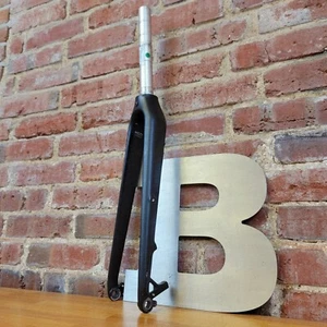 Trek 700C Road Bike Fork HCM Carbon Fiber 100x12mm Thru Axle 1 1/8"x210mm  f13 - Picture 1 of 11