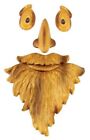 49001 Outdoor Tree Face Old Man