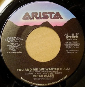 Peter Allen, You And Me (We Wanted It All), (7", Single), NM or M-, 3584308899 - Picture 1 of 2