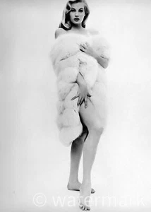 Anita Ekberg Collectible 8x10 Pin-Up Reprint – Vintage Movie Star Publicity Phot - Picture 1 of 1