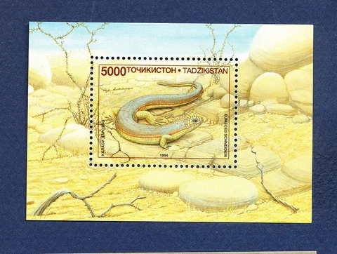 TAJIKISTAN - Scott  75 - FVF MNH S/S - lizard reptile - 1995 Cover