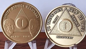 1 Year AA Founders & Anniversary Alcoholics Anonymous Medallion Chip Set Bronze  - Picture 1 of 4