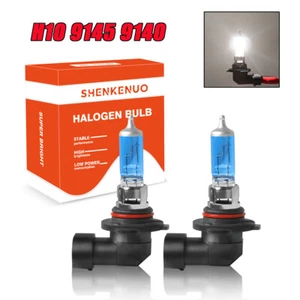 Par de bombillas antiniebla halógenas H10 Kit 9005 9145 9140 blancas súper brillantes - Imagen 1 de 11