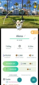 Pok&eacute;mon GO Shiny Eevee Safari Miami Background ✨️