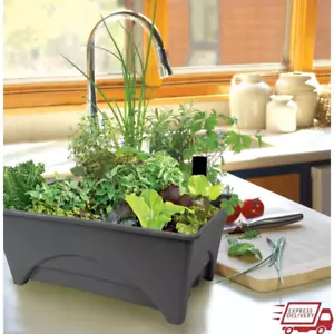 Self Watering Raised Bed Grow Box Herbs & Vegetables Easy Gardening System New - Picture 1 of 7