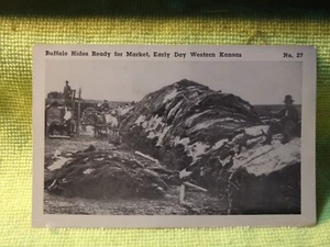 Vintage Postcard KANSAS RPPC Buffalo Hides Ready for Market - Picture 1 of 2