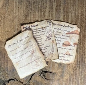 Dollhouse Miniature Witchy Halloween Lot 1/12 Spell Sheets Fairy Garden Wizard - Picture 1 of 9
