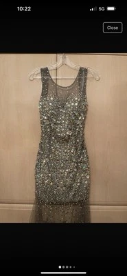 Gorgeous Jora Collection Mesh Beaded Long Silver Dress with open back ✨ - Image 1 of 4