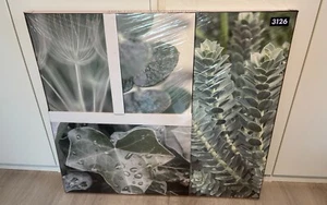 4 Bilder mit Natur Motiv Tolle Grüntöne - Bild 1 von 13