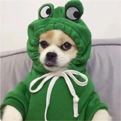 1PC Green Cute Frog Pet Sweater Puppy Hoodie Clothes Little Dog Cat Yorkshire Ju - Image 1 of 4