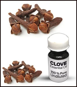 Clove Essential Oil 100% Pure Undiluted (10ML-500ML) - Picture 1 of 1