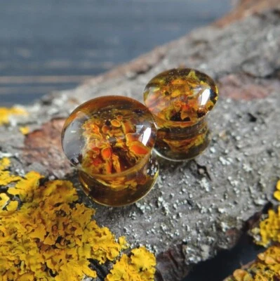 Orange Ear gauge for Men Woodland Lichen Resin ear tunnels Large size plugs 2g - Image 1 of 4