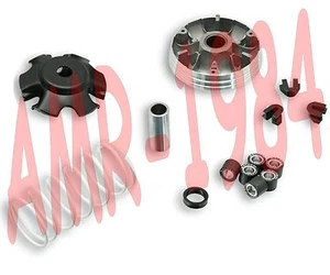 VARIATORE MALOSSI MULTIVAR 2000 PIAGGIO ZIP LIBERTY 50 4 TEMPI  MALOSSI 5111597 - Foto 1 di 1