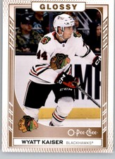 2023-24 Upper Deck Series One Inserts Pick From List OPC Glossy - UD Portraits