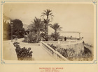 Principauté de Monaco, Monte Carlo, les Jardins du Casino Vintage Albumen Print
