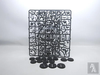 (BF05) Hunters Of Huanchi Warcry Serafón Hombres Lagarto Sigmar Viejo Mundo Warhammer Foto 1 de 3