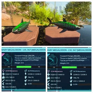 ARK ASCENDED PVE OFFICIAL PAIR BABY MEGALODON MONSTER HIGH STATUS PC/XBOX/PS5 - Picture 1 of 4