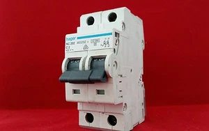 HAGER NC202 463202 2A 2AMP DOPPELPOLIG DP 2P MCB SICHERUNGSSCHALTER - Bild 1 von 2