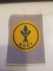 giglio Asci giallo