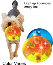 dog toy battery operated ball