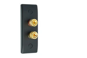 2 Post Audio Speaker Wall Face Plate Architrave Matt Black - Picture 1 of 6