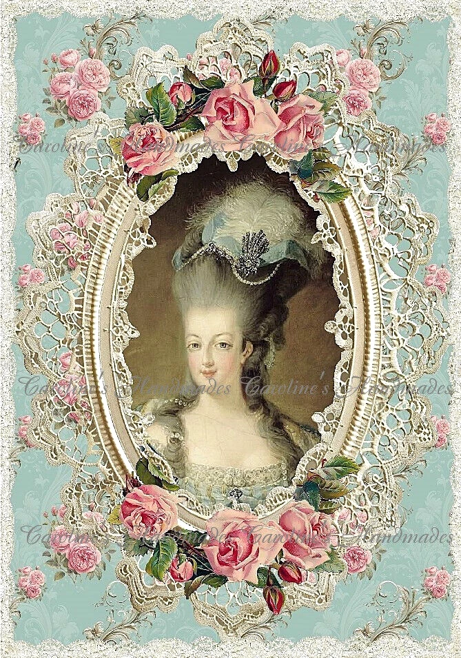 Marie Antoinette Roses & Lace Designer Cotton Fabric Quilt Block Multi-size - Image 1 of 1