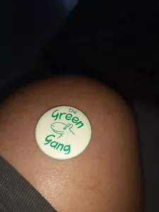 Insignia vintage de The Green Gang - Imagen 1 de 2