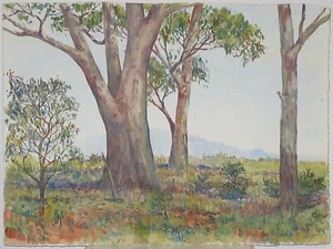 John Flexmore Original Watercolour “A Stand of Eucalypts”. Unframed - Picture 1 of 6