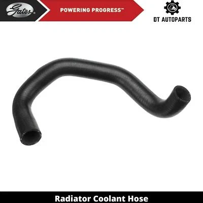 Manguera de refrigerante de radiador diésel para Nissan 720 1981-1983 2,2 L L4 puertas inferiores 1982 Foto 1 de 4