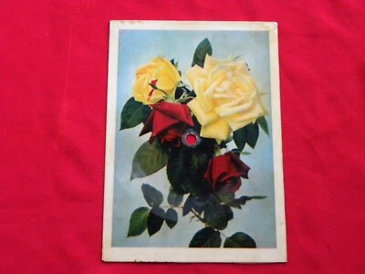 DDDBM&T hold tight RARE 1960s POLISH postcard record FLEXI #2 - Image 1 of 2