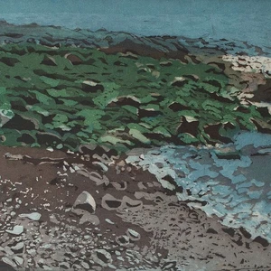 Helga Wirth Algenstrand Ufer Zeitgenössische Kunst sign Farbradierung 1977 9/20 - Picture 1 of 4