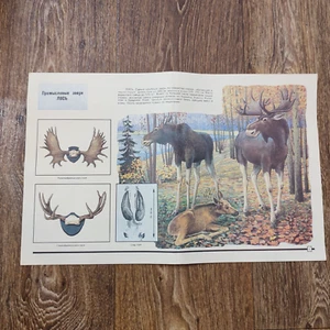 ELK HUNTING ORIGINAL VINTAGE POSTER - Picture 1 of 2
