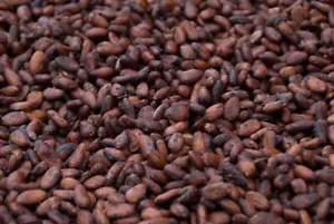 BULK 2 KG Cacao Beans - ORGANIC WHOLE RAW CACAO BEANS FREE POST - Picture 1 of 1