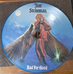 JIM STEINMAN Bad For Good - Picture Disc LP (1981) - Bild 1 von 2