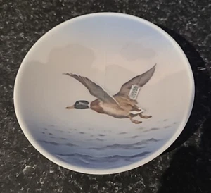 VTG 1951 Royal Copenhagen Small Collector Plate Mallard Duck in Flight #3675 - Picture 1 of 6