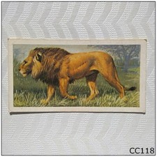 Brooke Bond African Wild Life #10 Lion Tea Card (B) (CC118)