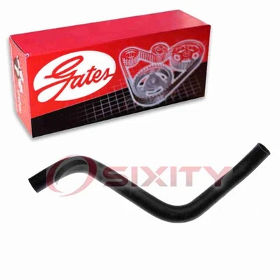 Manguera de refrigerante de radiador inferior Gates para Honda Accord 2003-2007 3,0 L V6 correas ka Foto 1 de 4