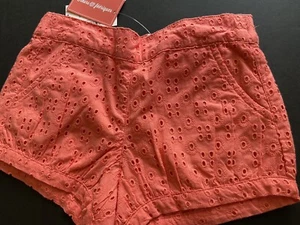 NWT Girls 4T Gymboree “FAIRY BLOSSOM” Cotton Eyelet TANGERINE Bubble SHORTS - Picture 1 of 3