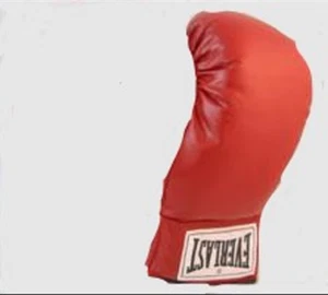 Everlast Boxhandschuhe Vintage rot Leder linke Hand Autogramm Spitze Original USA - Bild 1 von 8
