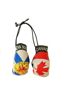 CANADA &  NOVA SCOTIA CANADA Provincial Flags Mini BOXING GLOVES .. New - Picture 1 of 1
