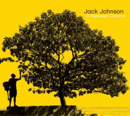 Jack Johnson In Between Dreams (CD) Album - Bild 1 von 1