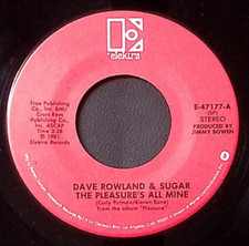 DAVE ROWLAND & SUGAR THE PLEASURE'S ALL MINE/ONE STEP AT A TIME VINYL 45 49-173