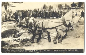 Playa RPPC EXAGERATION 1913 - Caballos transportando peces SCHENEVUS NY PECES CARNAVAL - Imagen 1 de 2