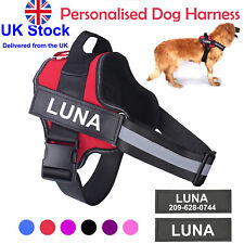 Personalized Dog Harness NO PULL Reflective Breathable Puppy Vest Padded Handle