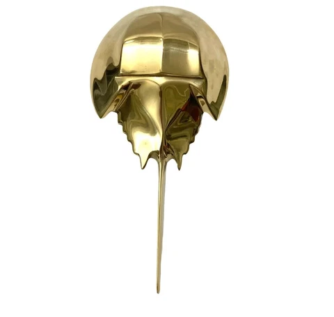 Solid Brass Stingray Fish Design Door Knocker/Nautical Door Accessories Home & O Cover