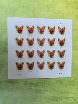 Sello de Estados Unidos 2023 Zorro Rojo (Hoja) 5 hojas de 20/A total de 100 Foto 1 de 2