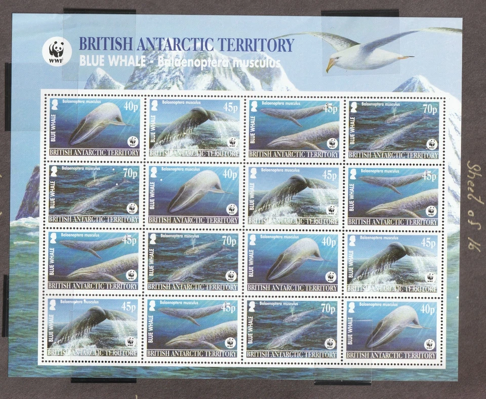 BAT Territorio Antártico Británico 2003 Sc# 329a m/s Ballena Azul, WWF. MNH Cv $40.00 Foto 1 de 1