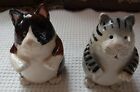 Vintage Hand Made Hibiscus Pottery  Fat Kitty Cats Salt & Pepper Shakers 
