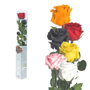 Rosa real conserva todos los colores - preservadas, flores liofilizadas en caja - Imagen 1 de 41